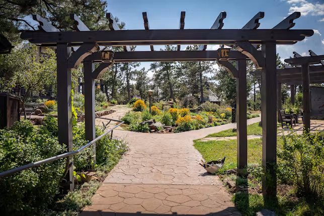 Stone path under a wooden pergola in the gardens